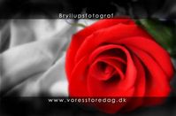 Bryllupsfotograf VoresStoreDag