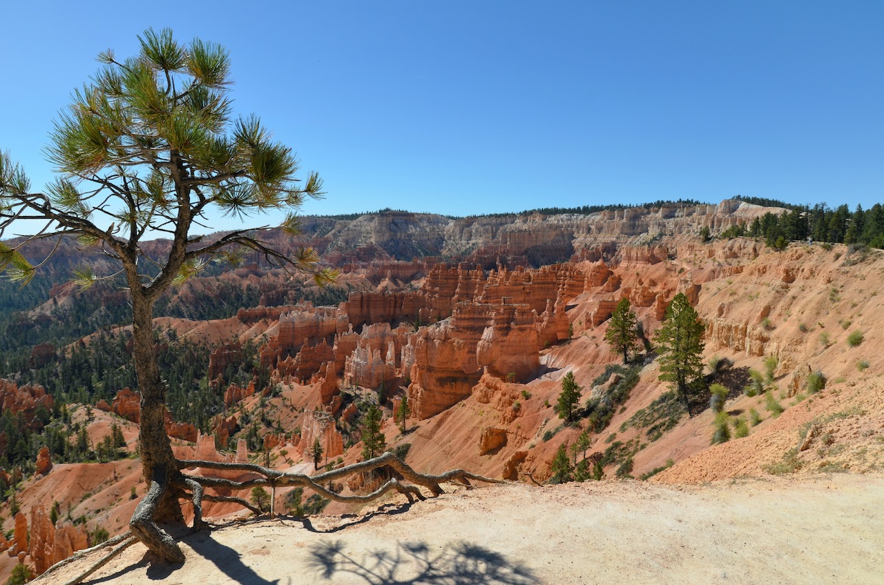 Bryse Canyon