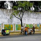 Bs. As. El otoño de los cartoneros.