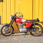 BSA 441