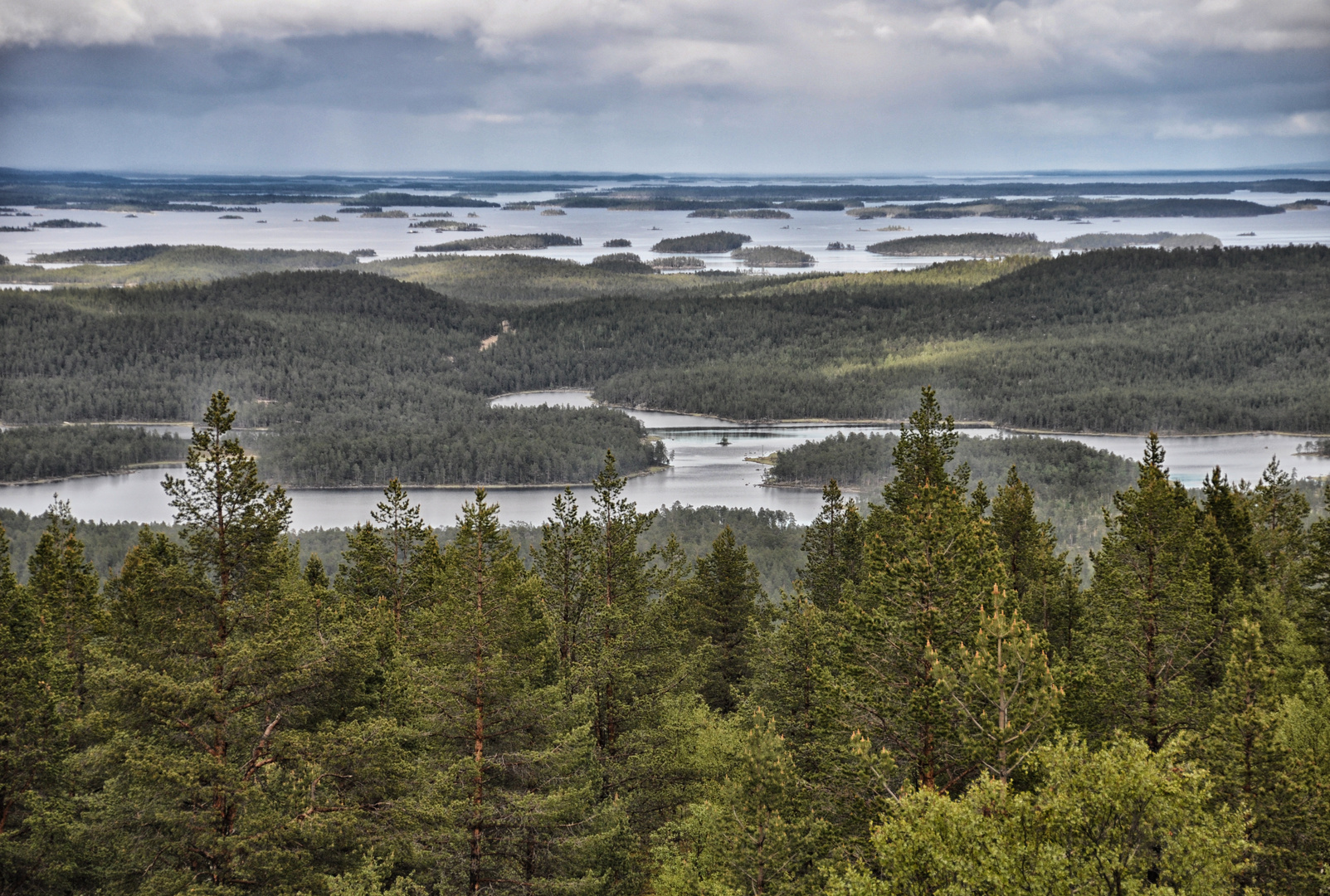 BSC2014: Inari