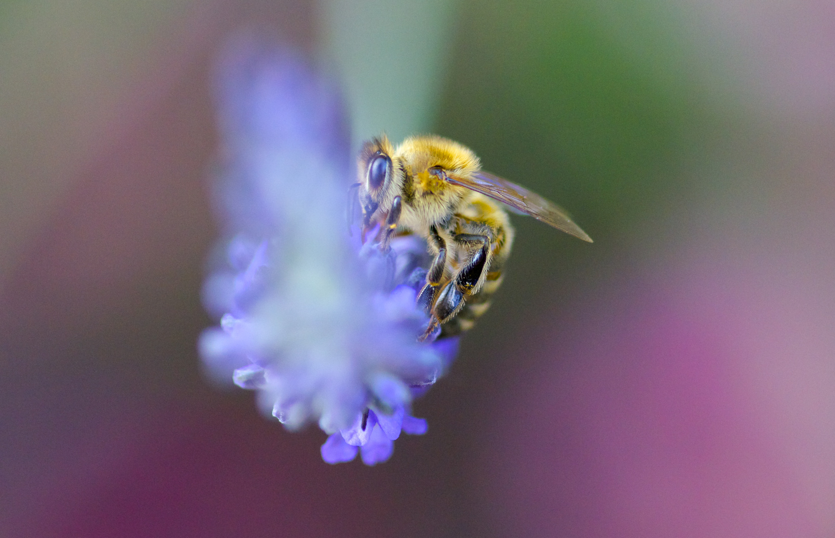 bssss bssss ....schlürf schlürf ......