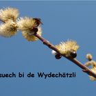 B`suech bi de Wydechätzli