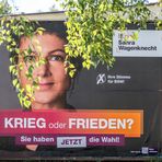 BSW Wahlplakat