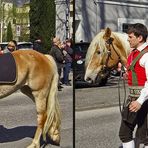 Bua auf Haflinger (3D)