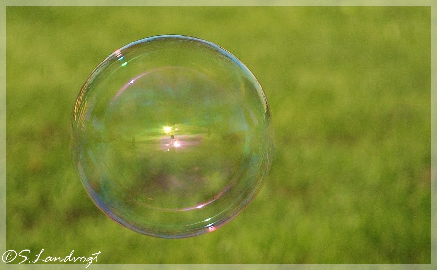 *~Bubble~*
