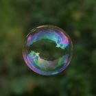 Bubble 2