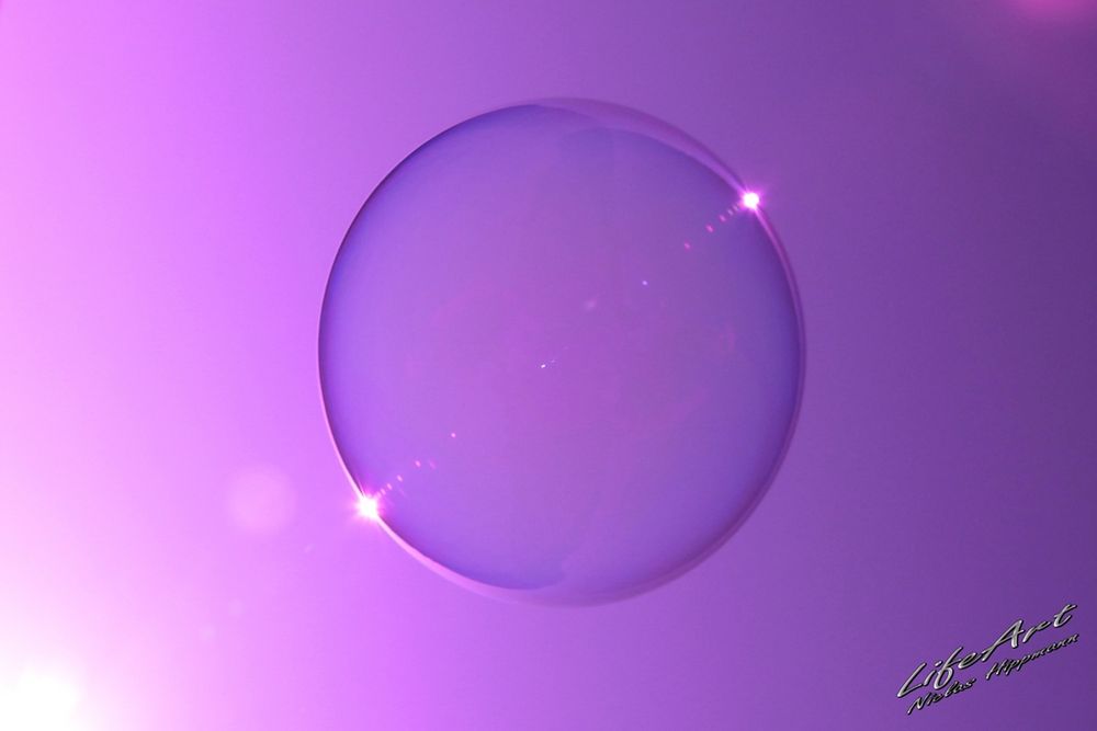 Bubble von Niclas Hippmann 