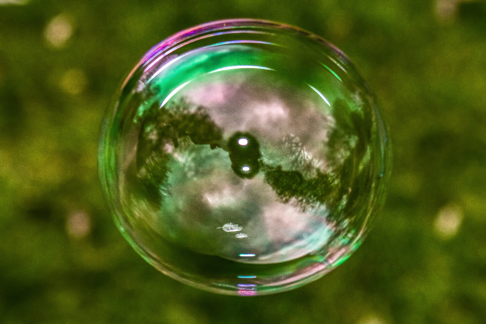 Bubble