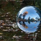 BUBBLE (im Herbst)