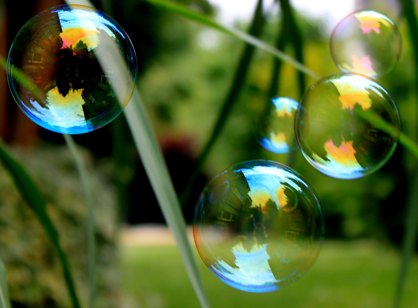 bubble ´s reflextion