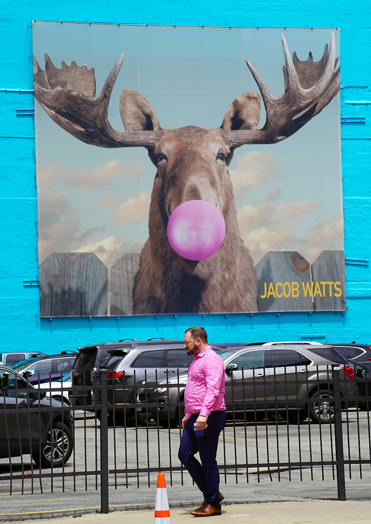 Bubblegum Elk 