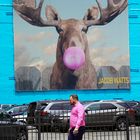 Bubblegum Elk 