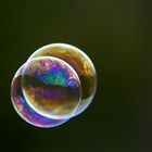 Bubbles 1