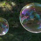 Bubbles