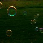 Bubbles