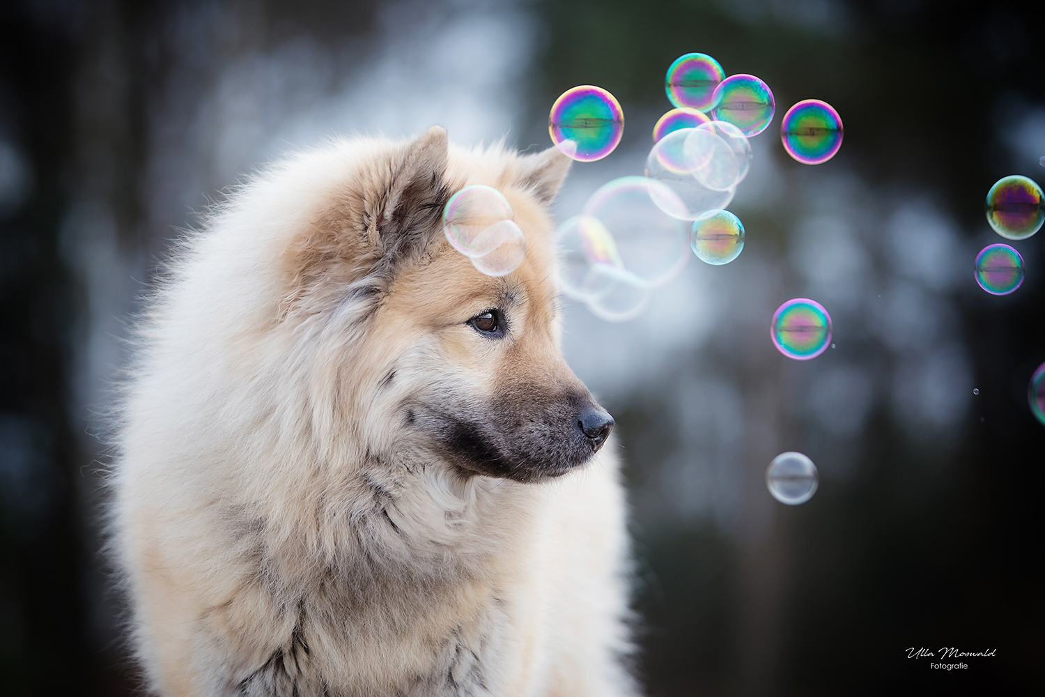 ...bubbles...