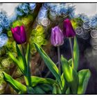 Bubbles and tulips