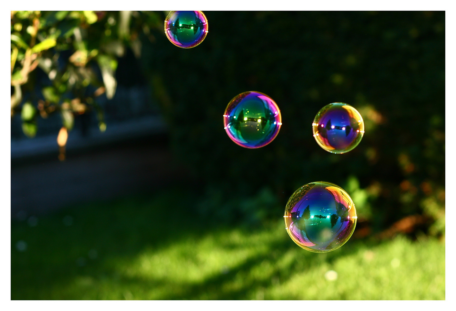 Bubbles