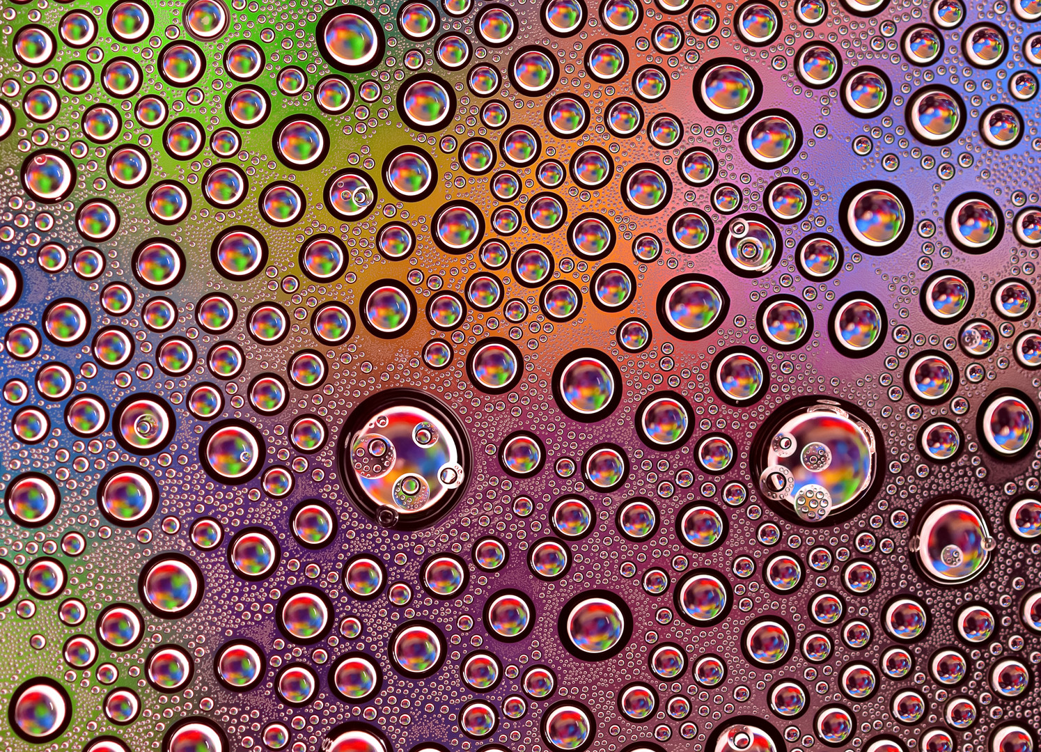 Bubbles