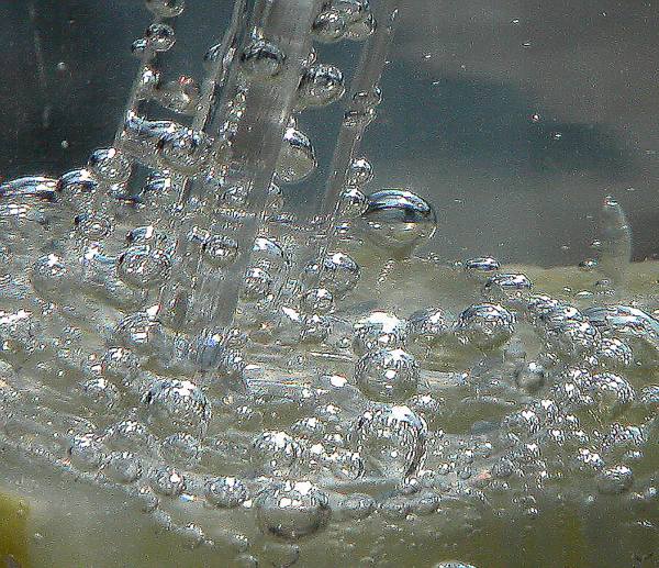 bubbles in a glass of tonic