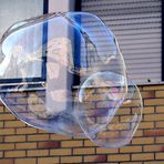 Bubbles in der Stadt