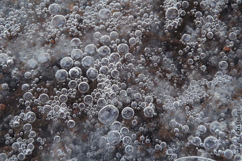 Bubbles in Ice