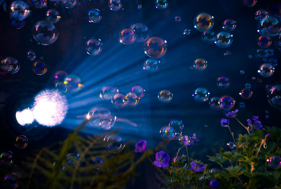 Bubbles in the Light