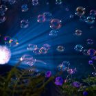 Bubbles in the Light