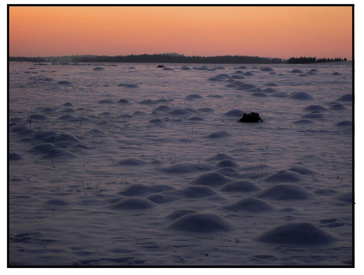 Bubbles in the snow