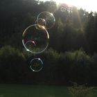 Bubbles in the sun :)