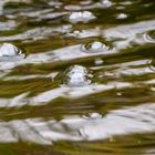 Bubbles in the water 