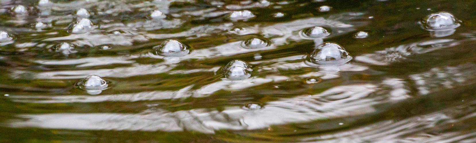 Bubbles in the water 