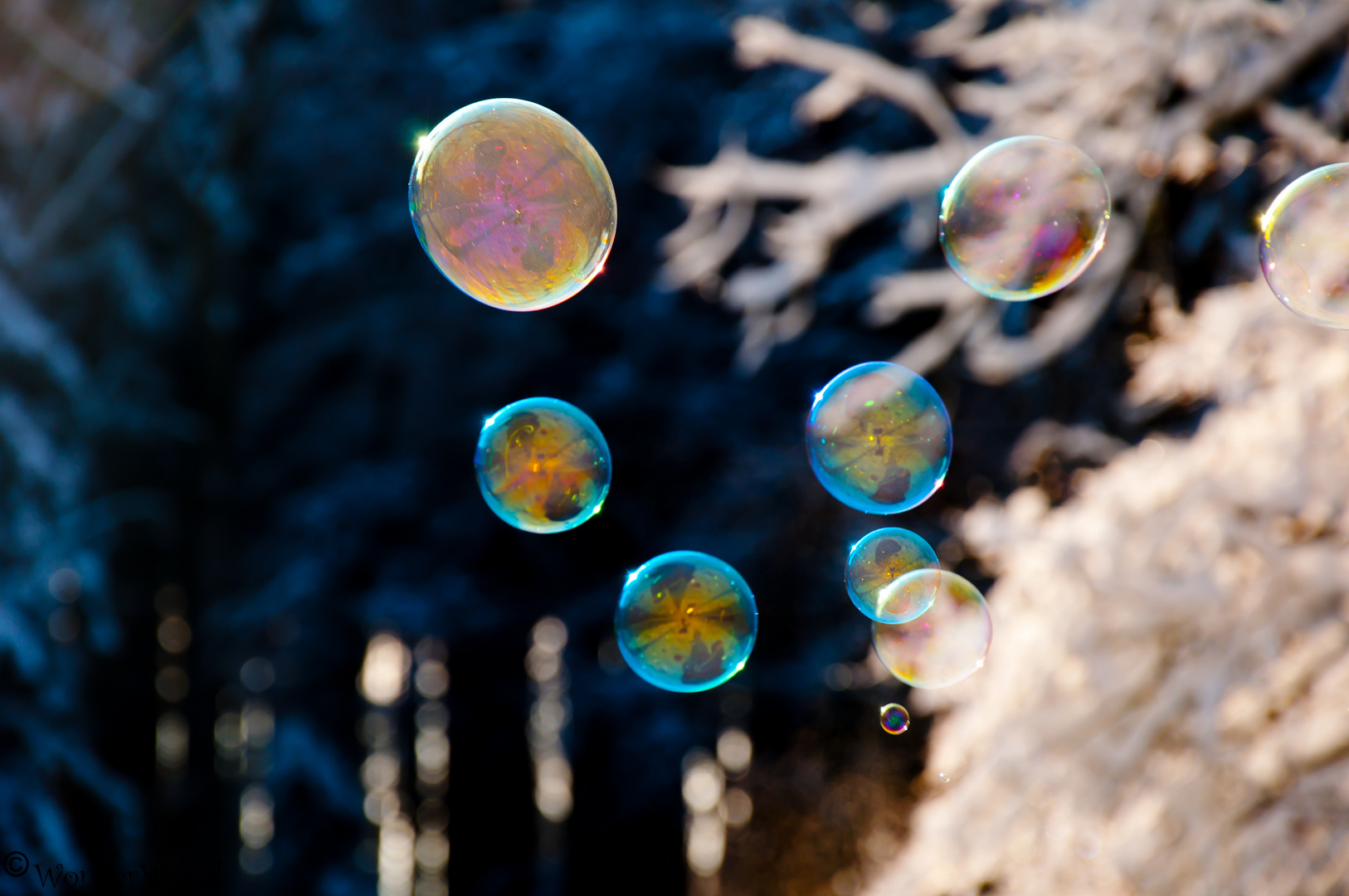 Bubbles in wintertime