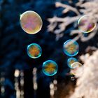 Bubbles in wintertime