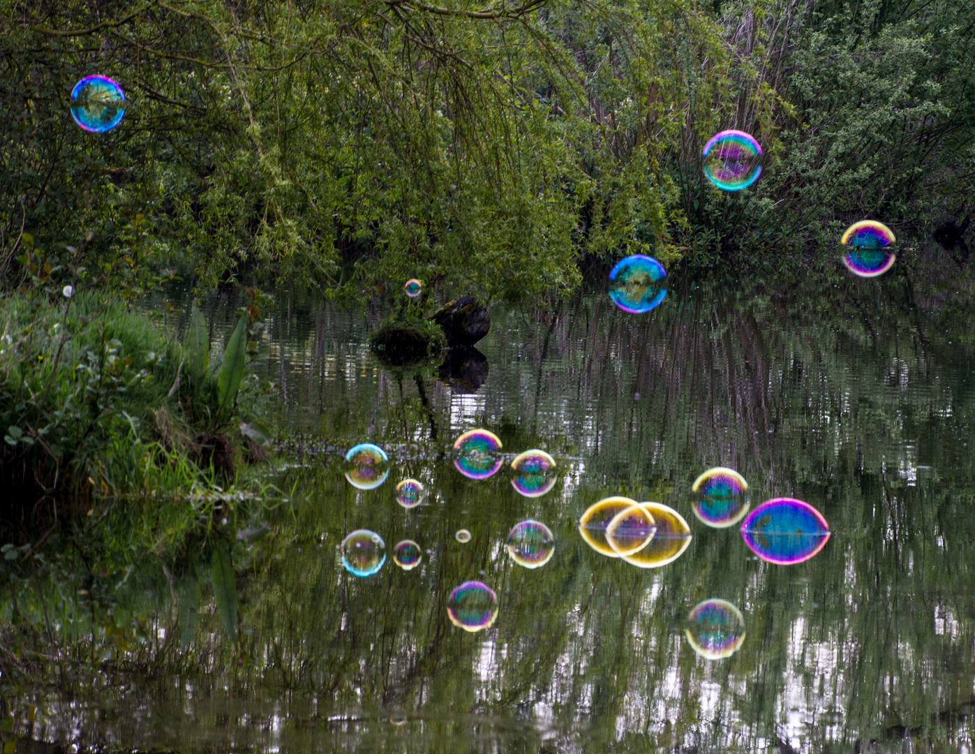 Bubbles on the lake 1