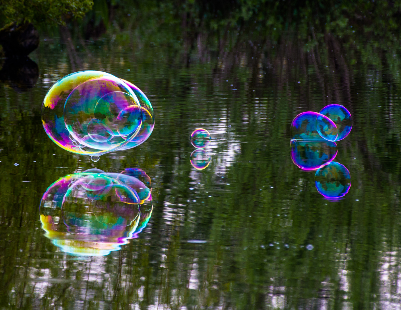 Bubbles on the lake 2