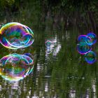 Bubbles on the lake 2