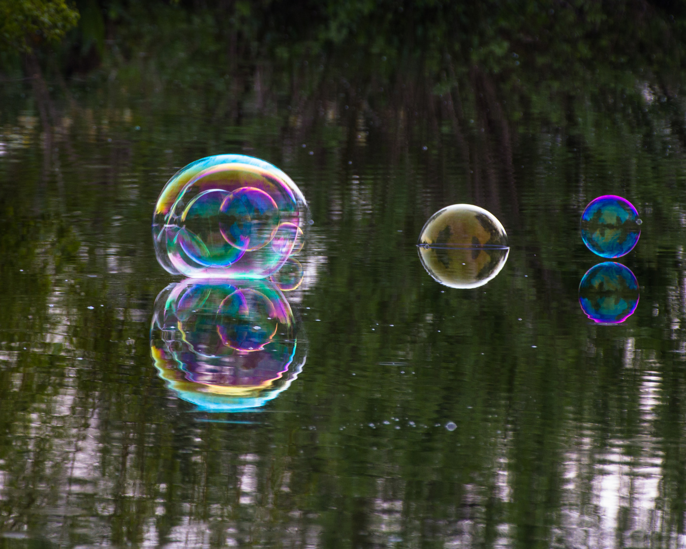 Bubbles on the lake 3