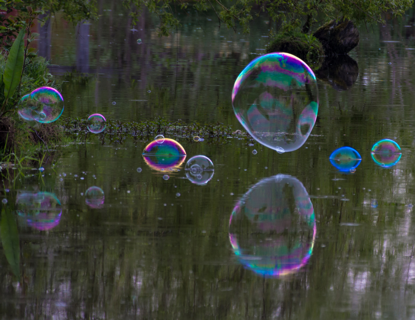 Bubbles on the lake 4