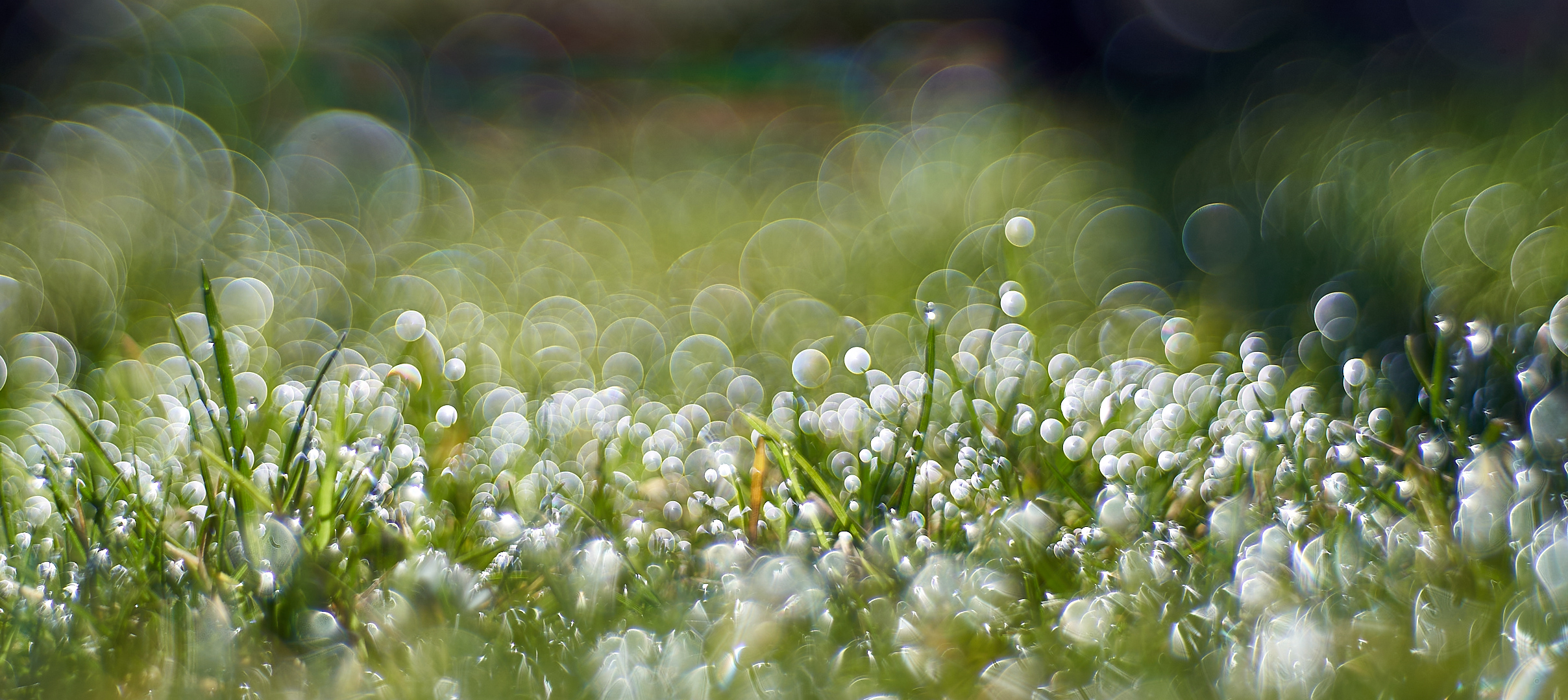 Bubbles Party