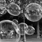 Bubbles … spontan