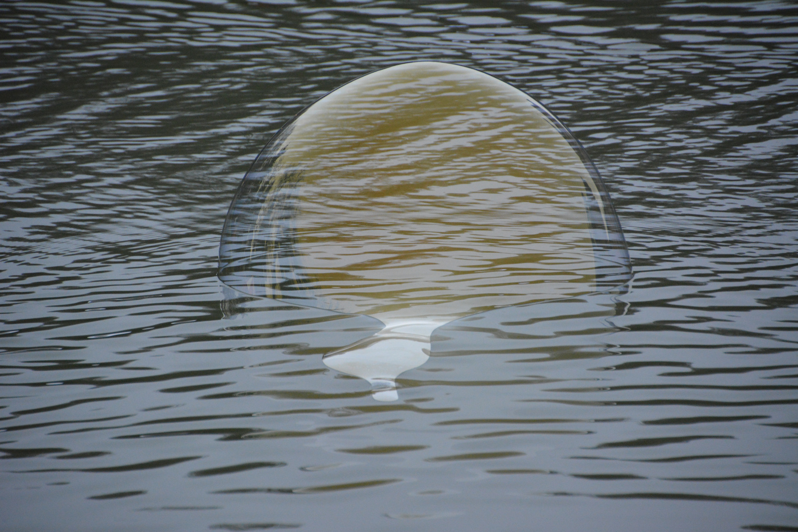 Bubbles & Water