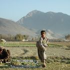 Buben bei der Feldarbeit, nahe Kabul, Afghanistan