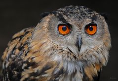 Zoo Rheine