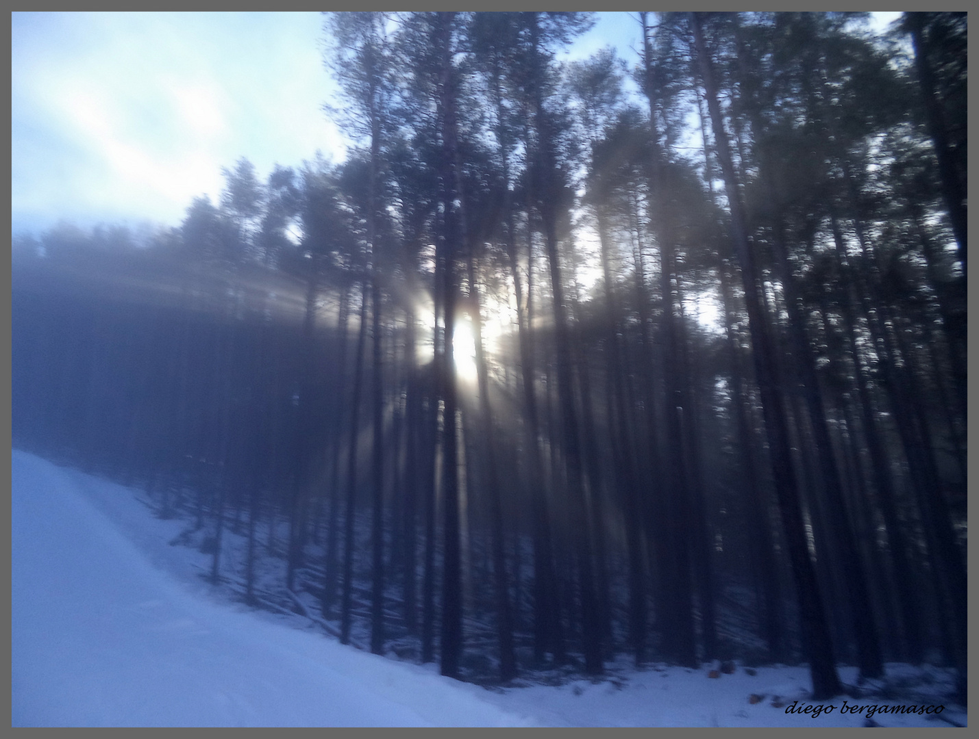 Bucando la nebbia....