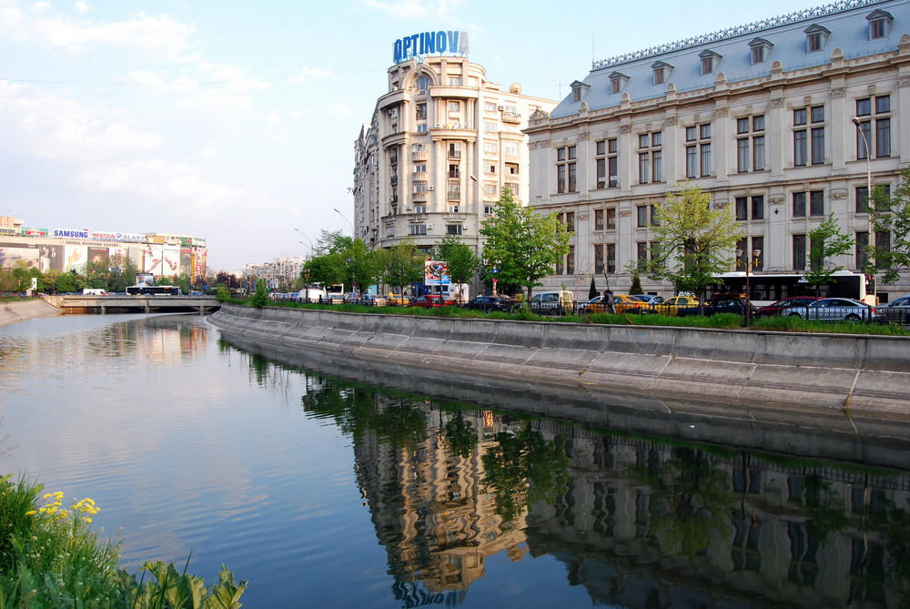 BUCAREST il tribunale