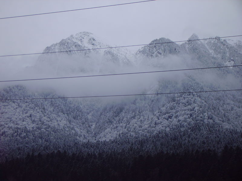 Bucegi