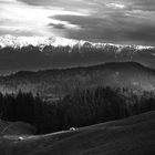 Bucegi mountains