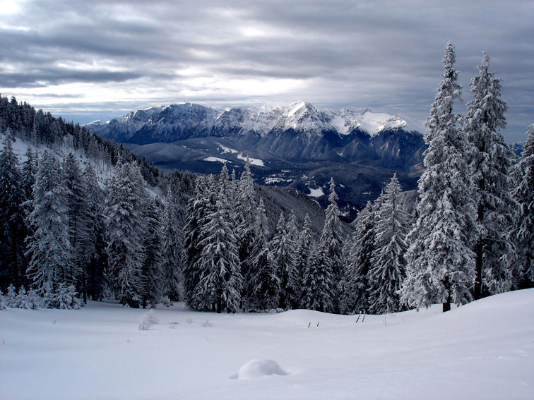 Bucegi Panorama